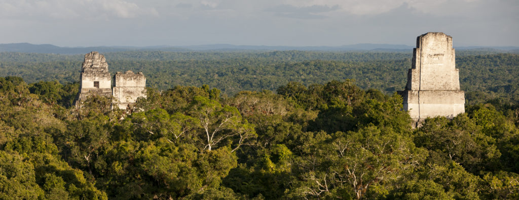 Panoramic view of Mayan pyramids at Tikal, Guatemala – GL Tours