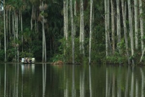Inkaterra Amazonica in Peru.